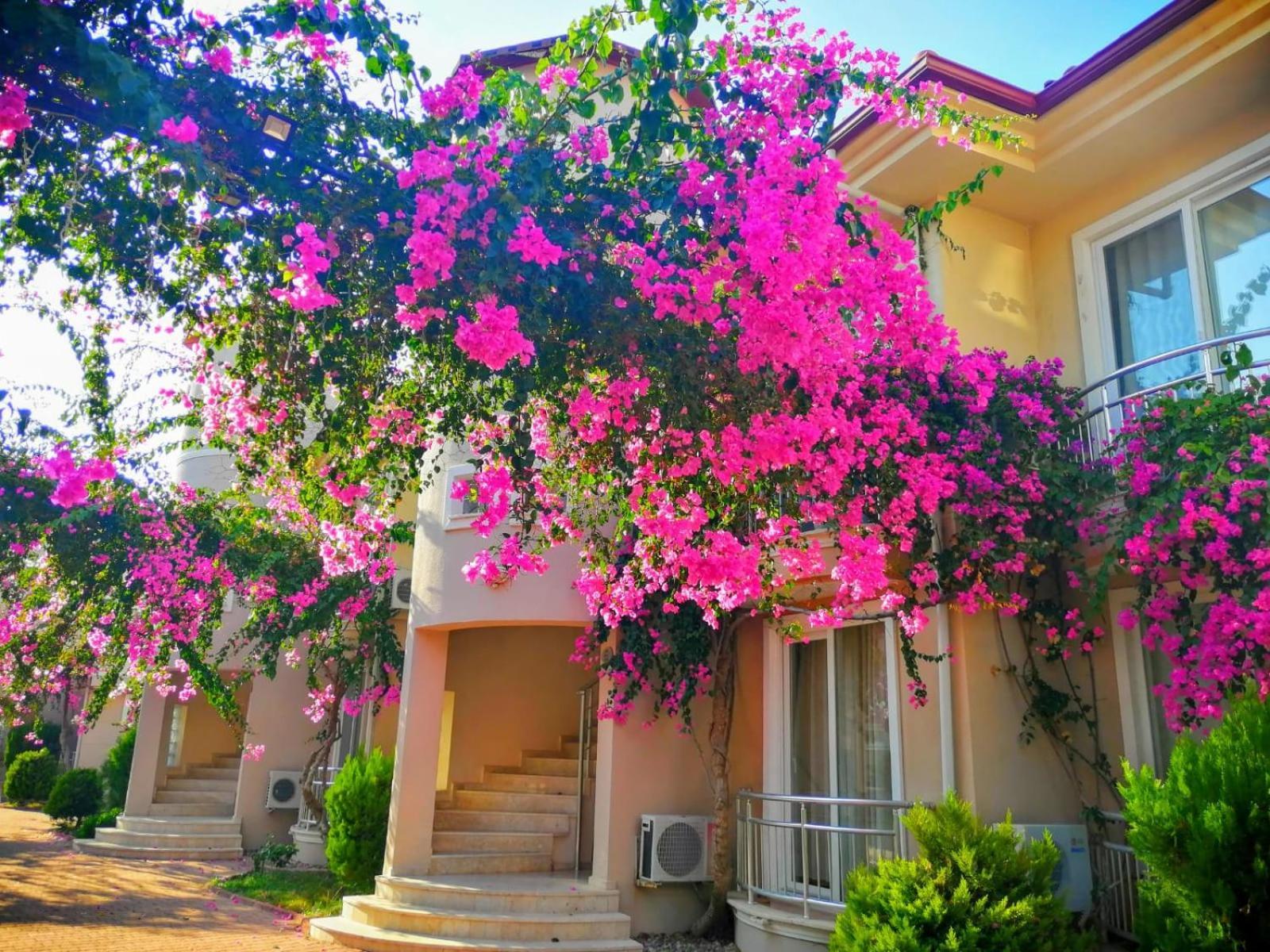 Sunset Beach Club Fethiye Exterior photo